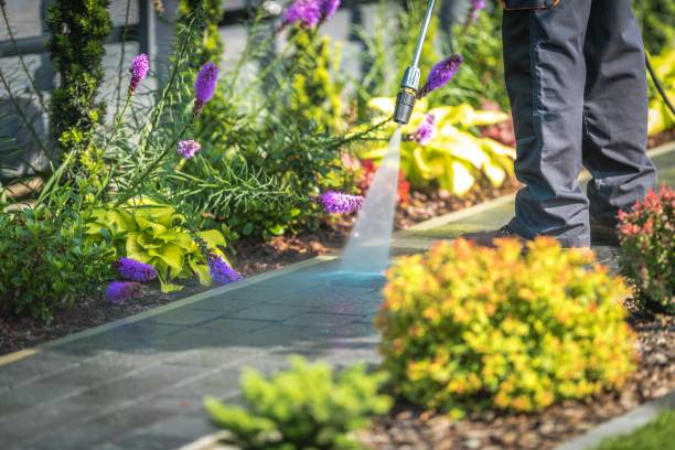 Trusted Euless, TX Pressure Washing Experts