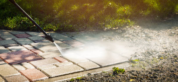 Best Fence Cleaning  in Euless, TX